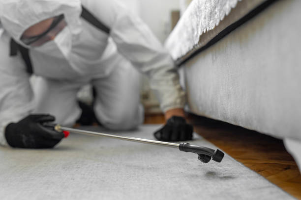 Professional Termite Control technician working in Ridge, NY
